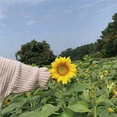 第十三届悉尼华商晚宴暨澳中青年企业家圆桌论坛在悉尼举行